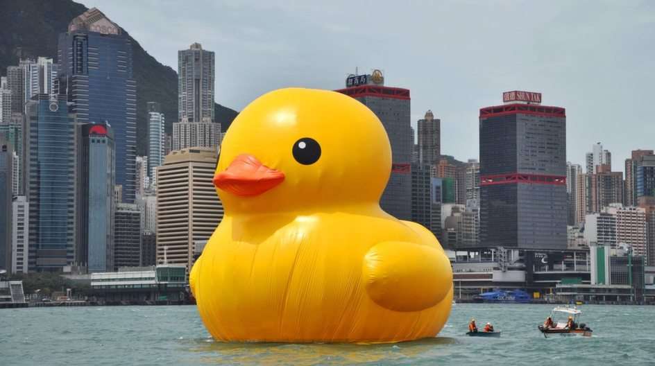 Fas the rubberduck online puzzle