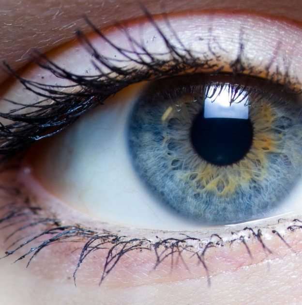 Ανθρώπινο μάτι παζλ online από φωτογραφία