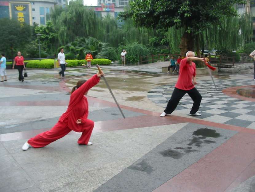 Kina 2009 pussel online från foto