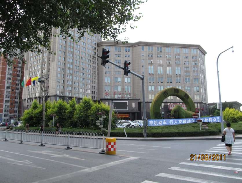 Kina 2011 pussel online från foto