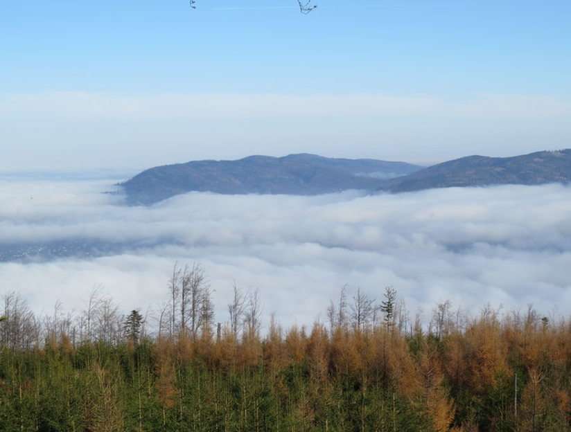 ПЕЙЗАЖ. онлайн пъзел от снимка