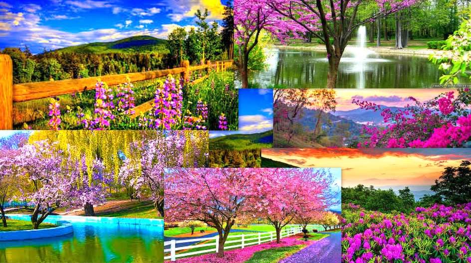 spring landscapes puzzle online from photo