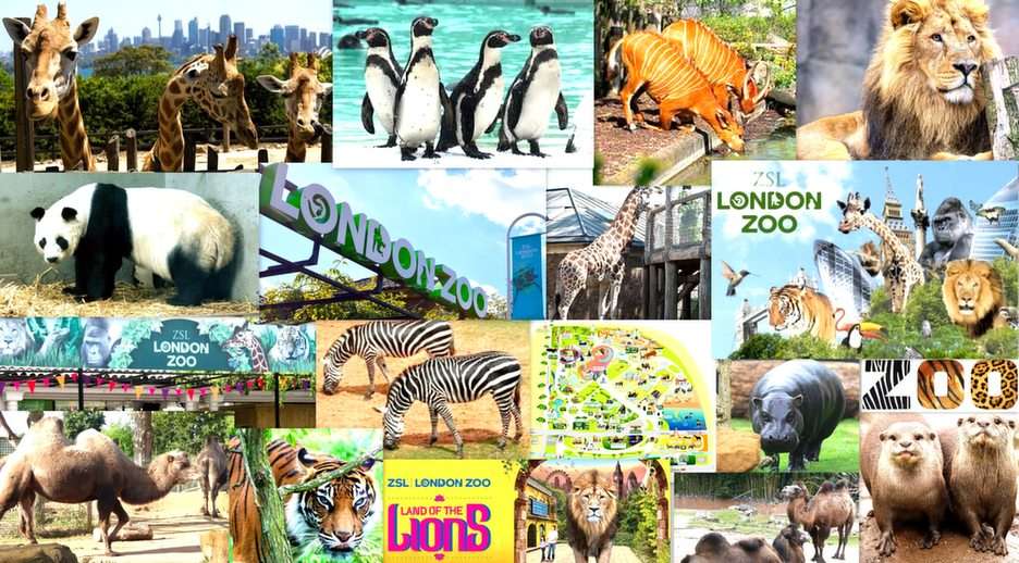 Londoner Zoo Online-Puzzle