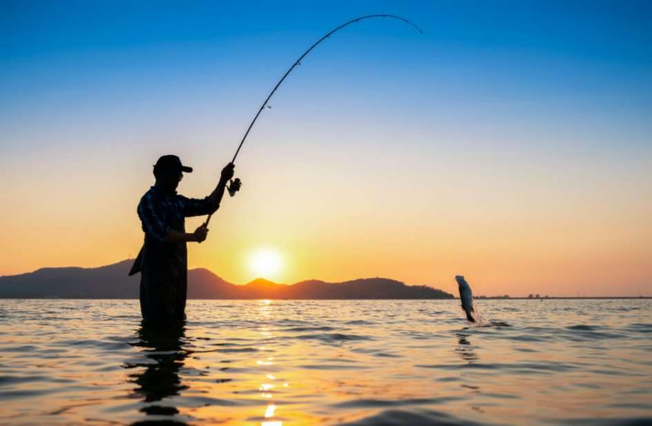 Αλιεία online παζλ