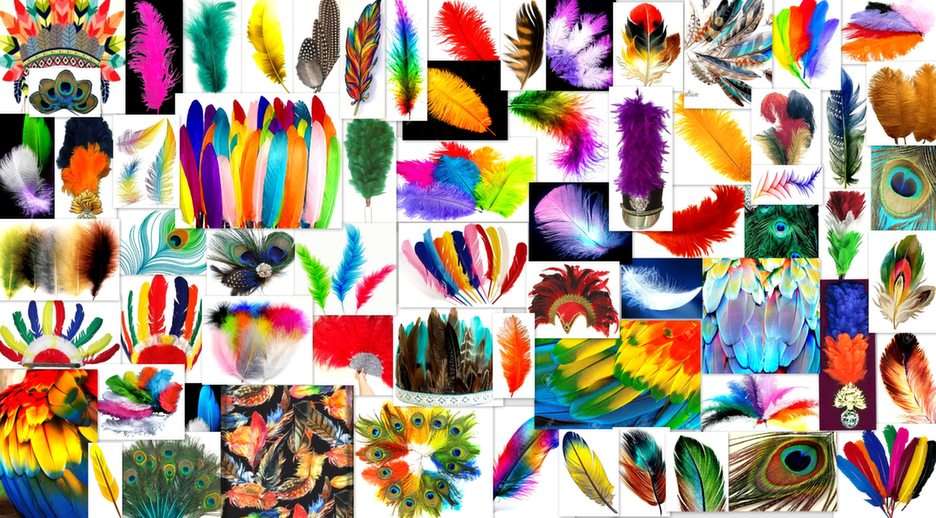 färgglada fjädrar pussel online från foto