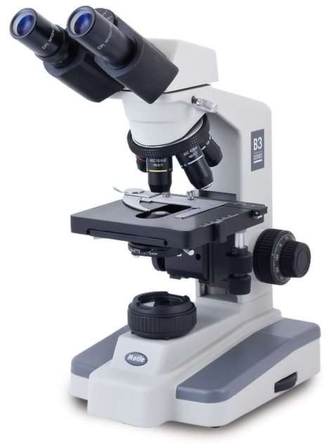 Microscópio óptico puzzle online
