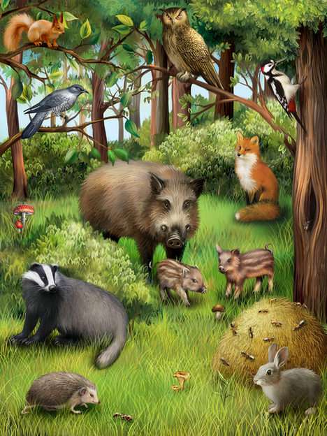 Wild animals online puzzle