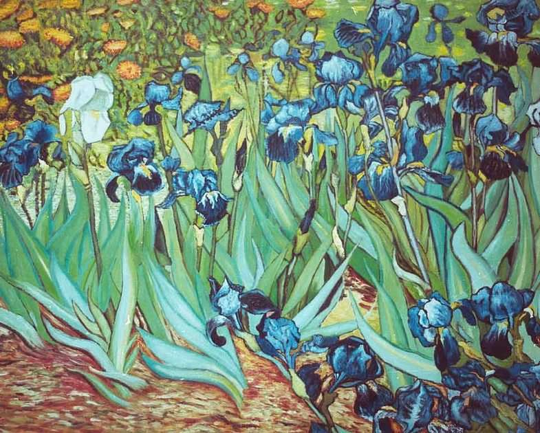 Irissen door Vincent van Gogh online puzzel