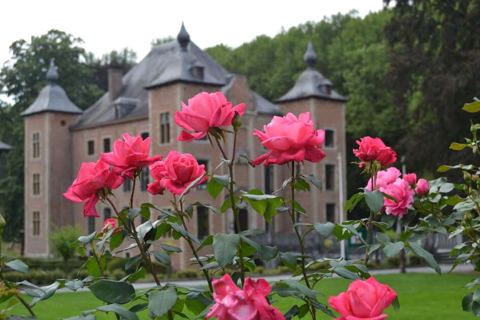 Сады Коломар, Бельгия пазл онлайн из фото