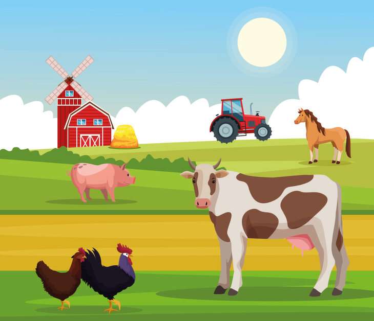 Animales de granja puzzle online a partir de foto