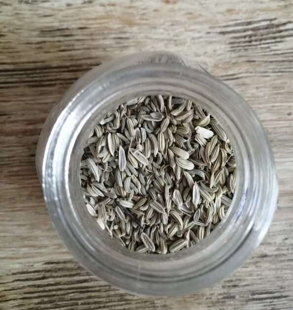 fennel seeds online puzzle