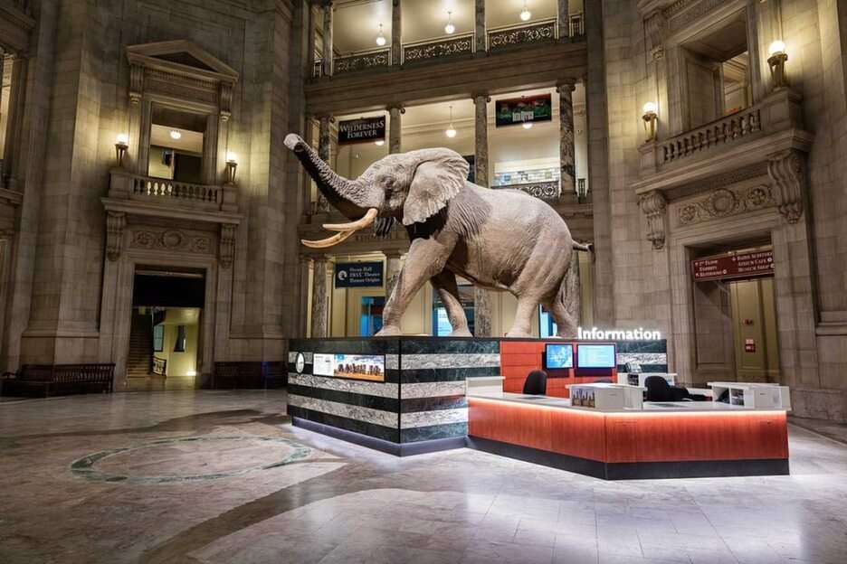 Museo Smithsonian rompecabezas en línea