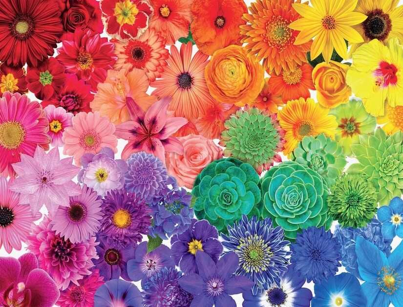 Дати на цветя онлайн пъзел от снимка