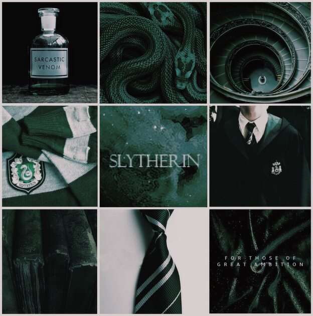 SLYTHERIN FUN PIZZLE online puzzel