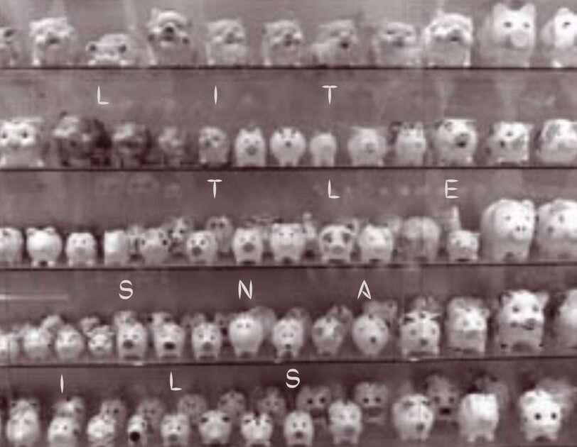 Cochons cassés puzzle en ligne à partir d'une photo