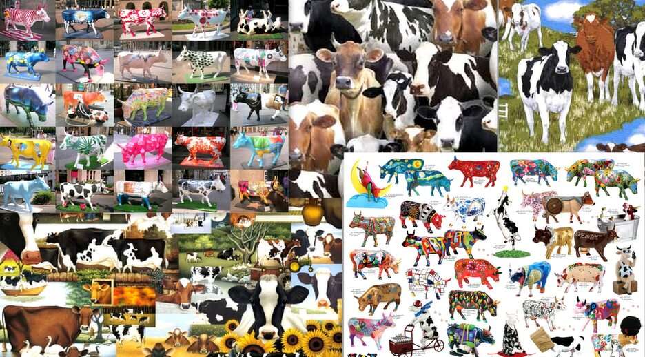 collage with cows online puzzle