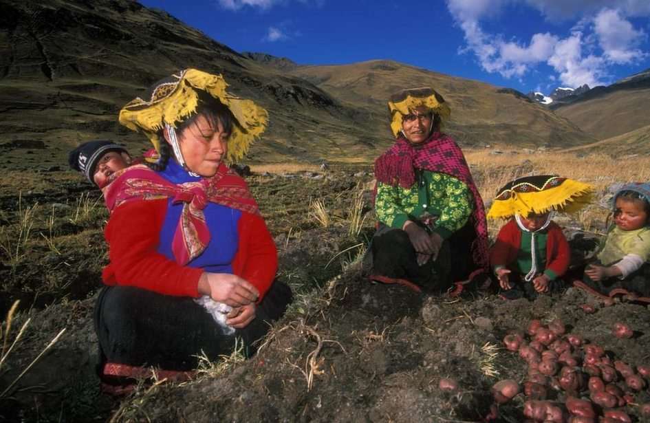 Mujeres en la Agricultura puzzle online da foto