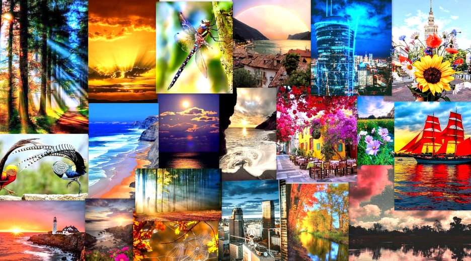 beautiful photos puzzle online from photo