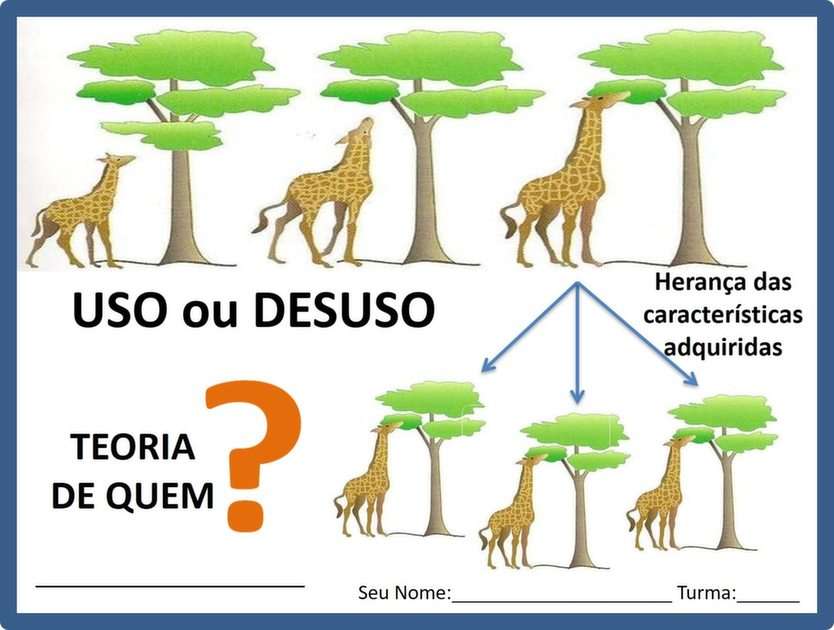 EVOLUÇÃO puzzle online from photo