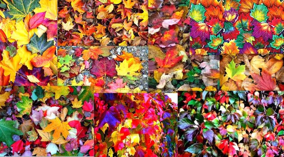 folhas de outono puzzle online