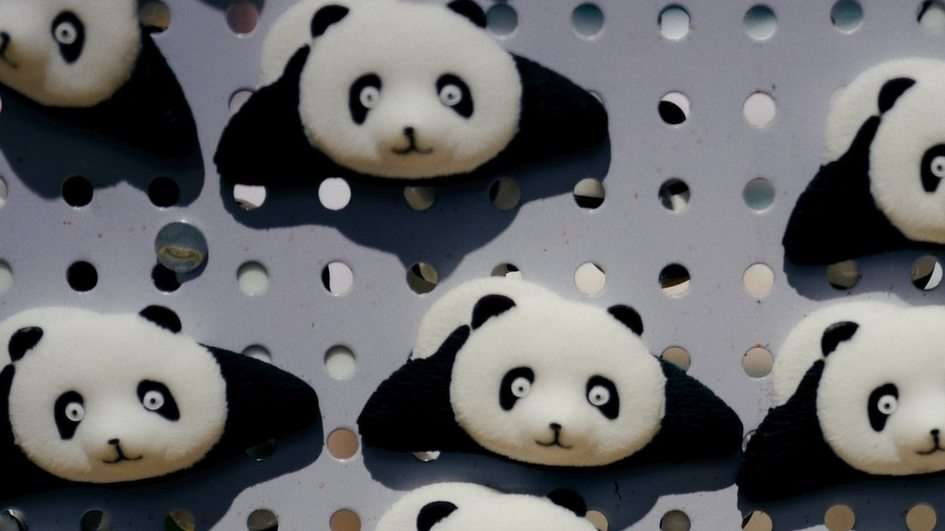 Panda Code puzzle online from photo