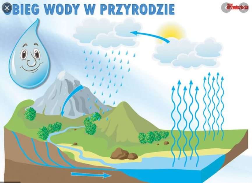 The water cycle in nature puzzle online from photo