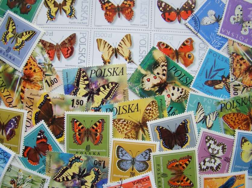 Také motýli ... online puzzle