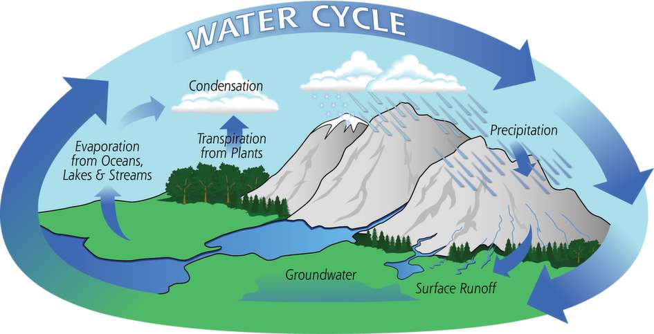 Sortarea ciclului de apă puzzle online