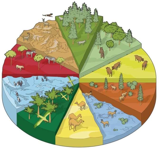 Biomes et écosystèmes puzzle en ligne