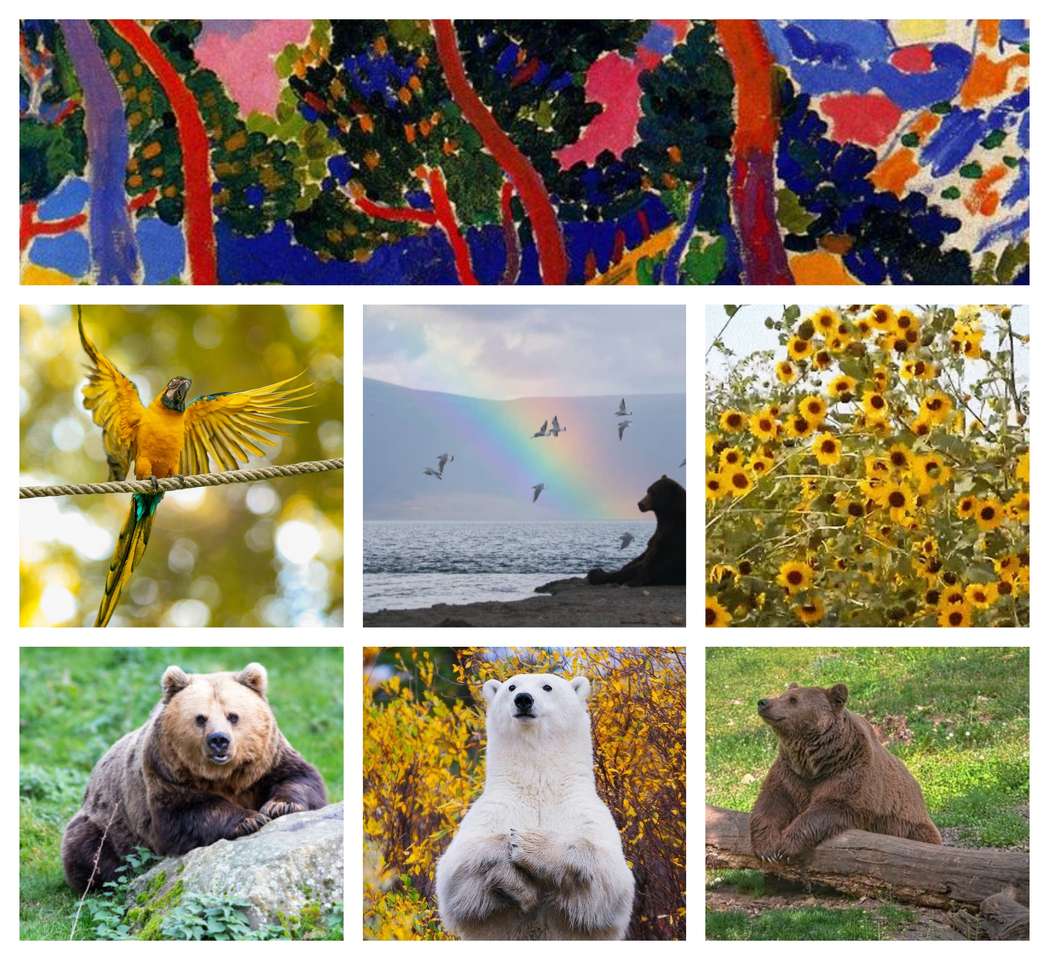 Collage de oso puzzle online a partir de foto