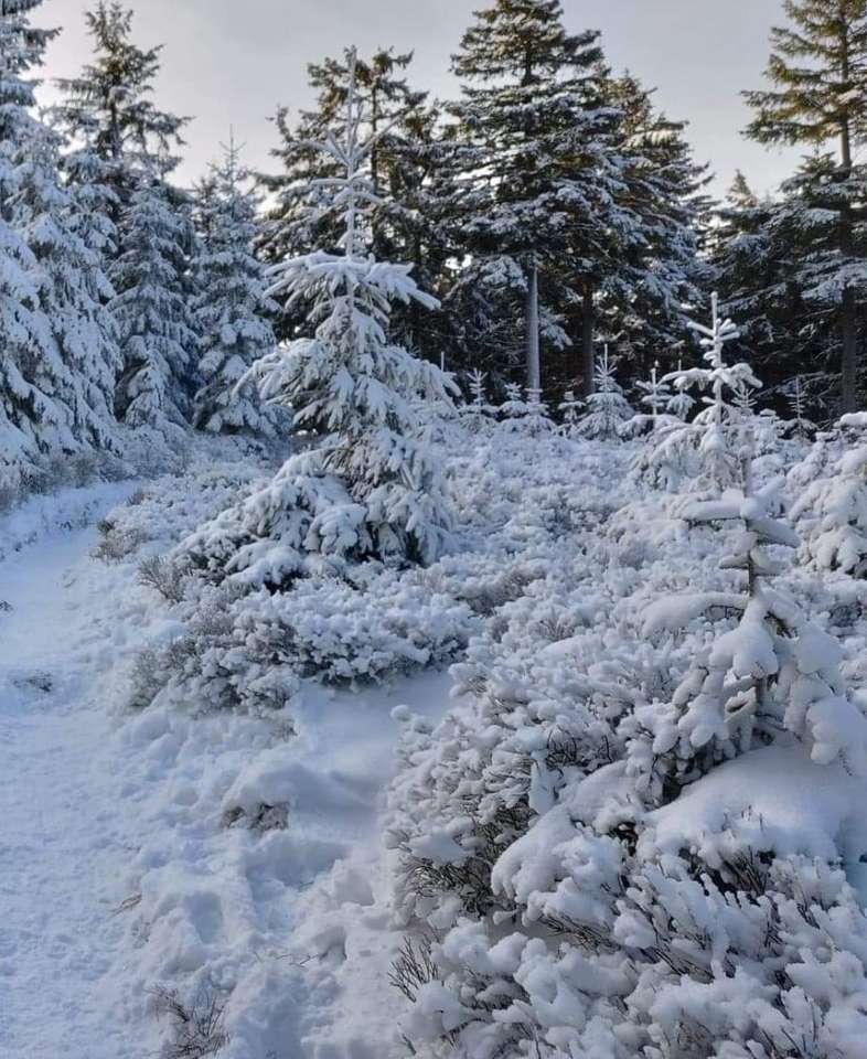 Зима , онлайн пъзел от снимка