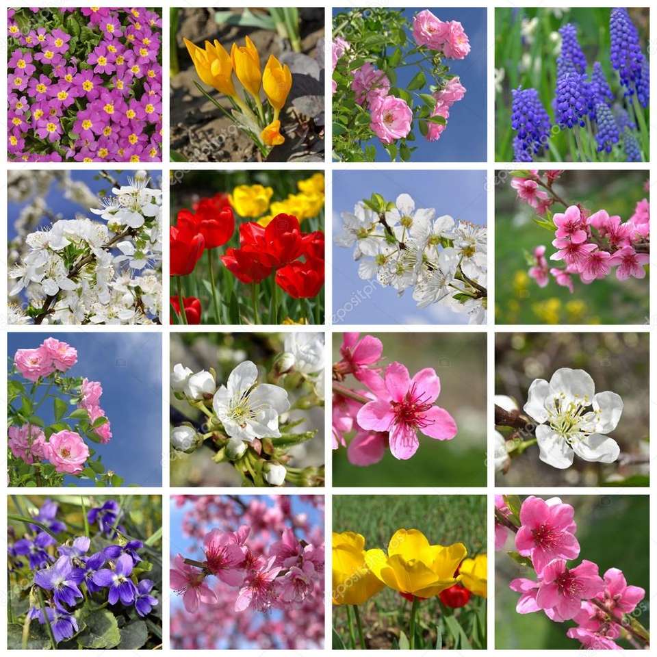 Blumenfrühling Online-Puzzle