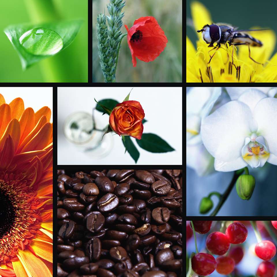 Virág és kávé keverék online puzzle