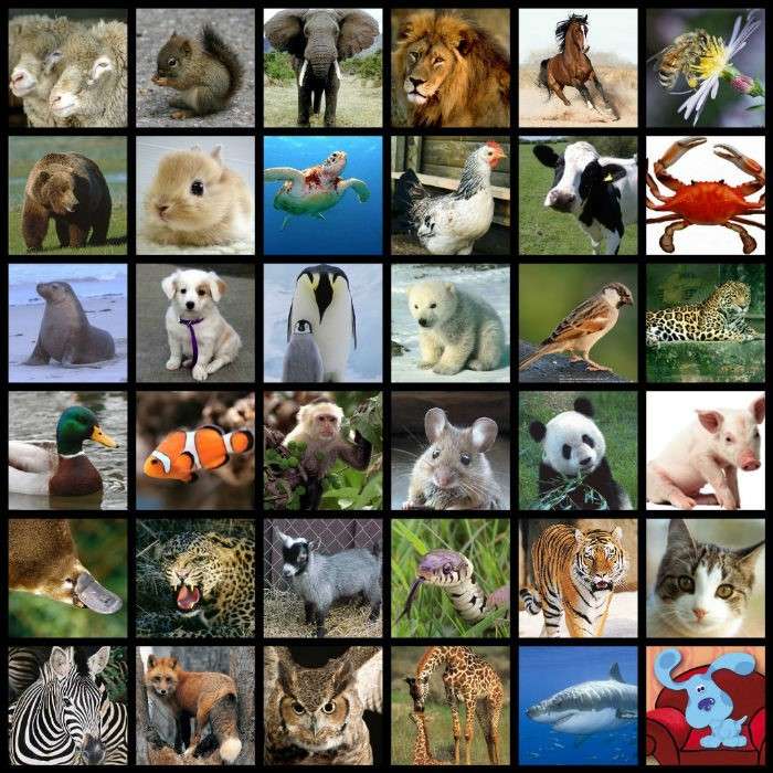 Pet collage - ePuzzle photo puzzle