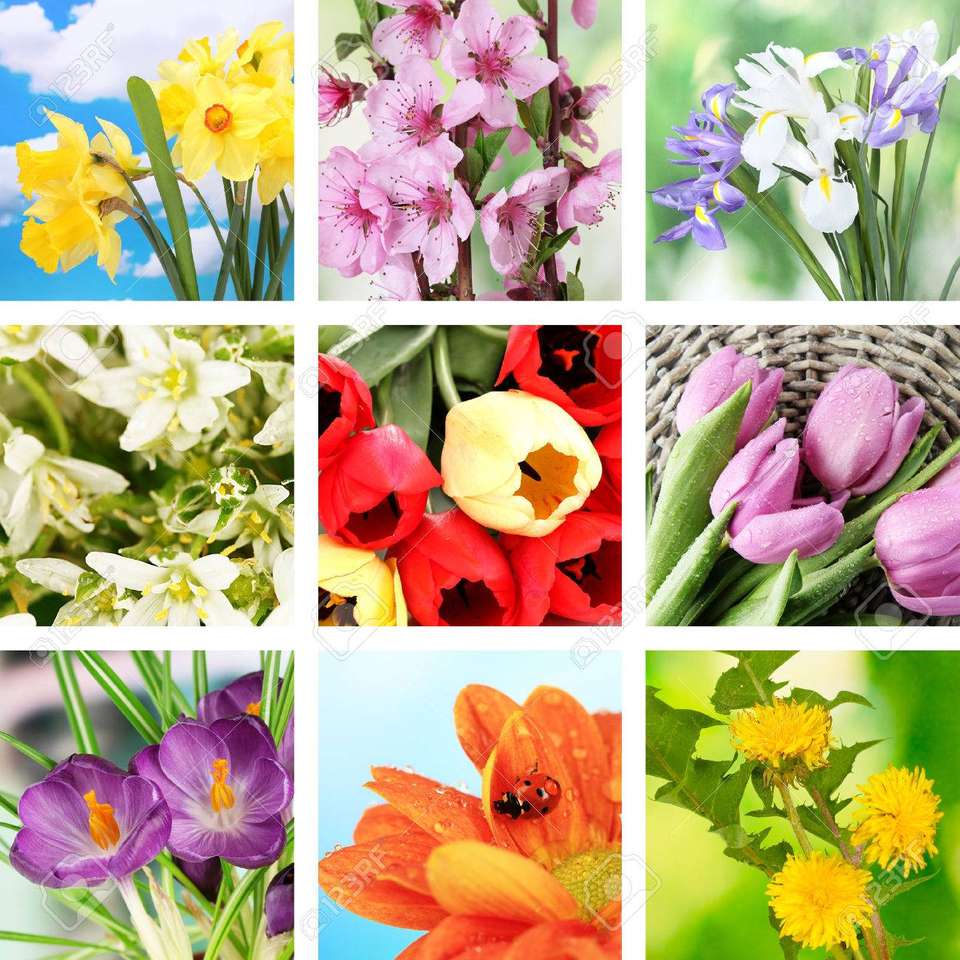 Virágok - tavasz online puzzle