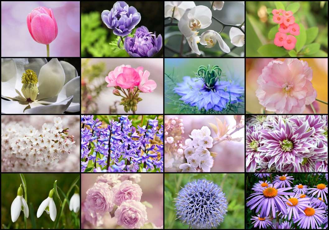 Floral à nouveau puzzle en ligne