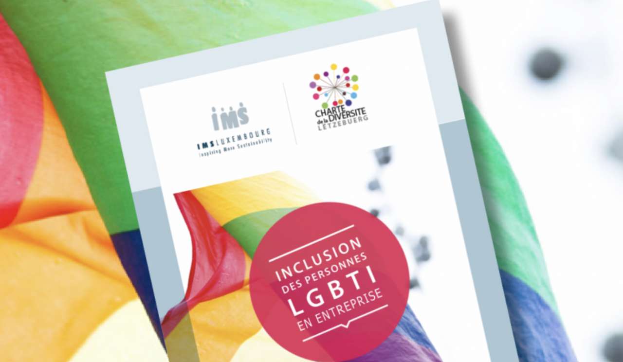 Test Puzzle LGBTI IMS Lussemburgo puzzle online da foto