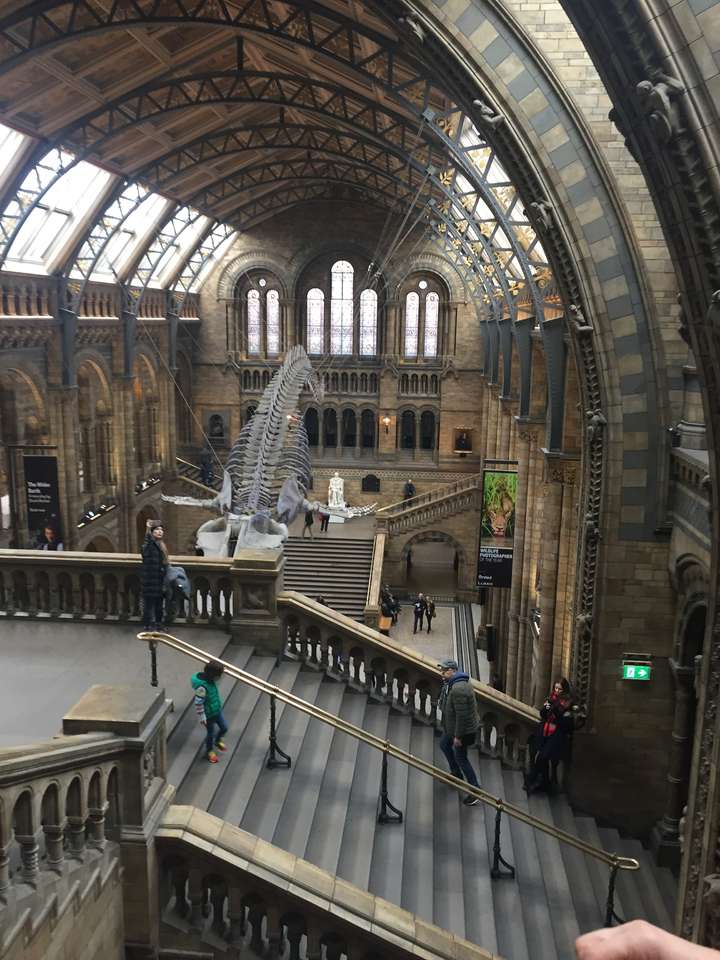 Μουσείο Φυσικής Ιστορίας - Λονδίνο online παζλ