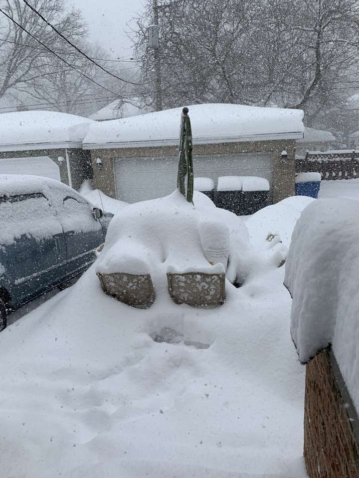 Nervensystem für Schnee - Fluchtraumaktivität Online-Puzzle vom Foto