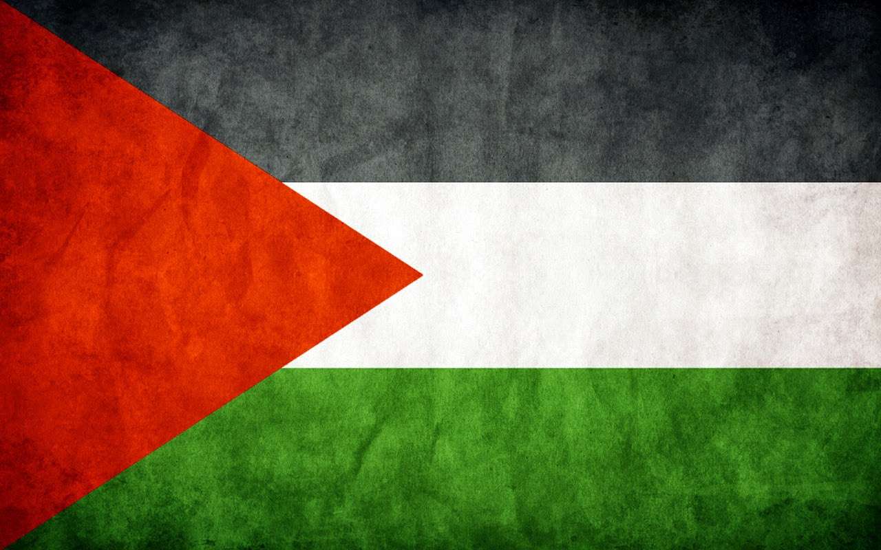 Vi älskar Palestina pussel online från foto