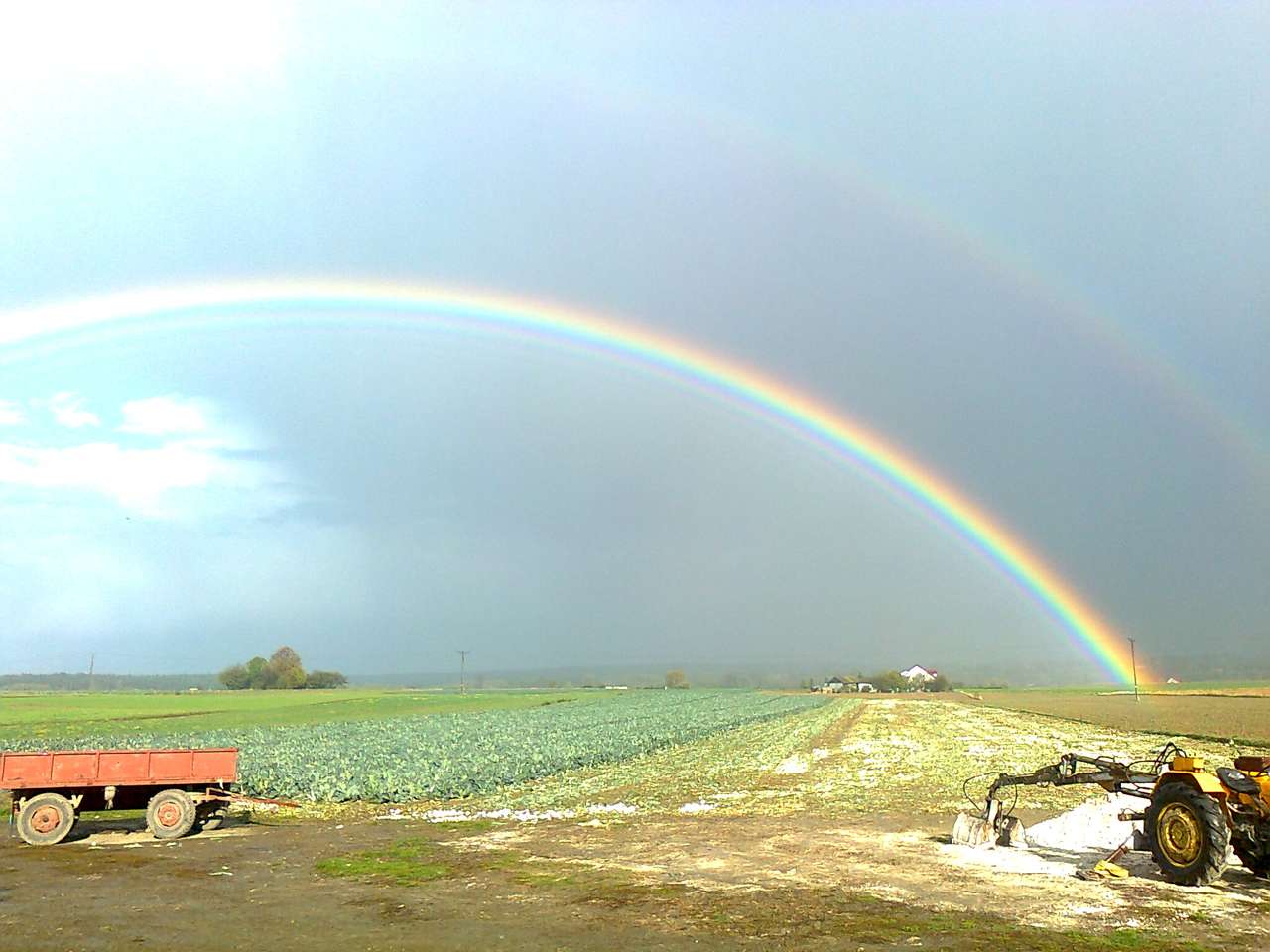 Rainbow in the countryside online puzzle