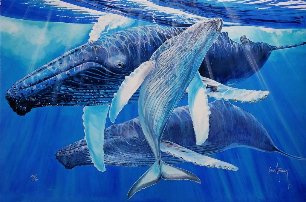 китове във водата онлайн пъзел