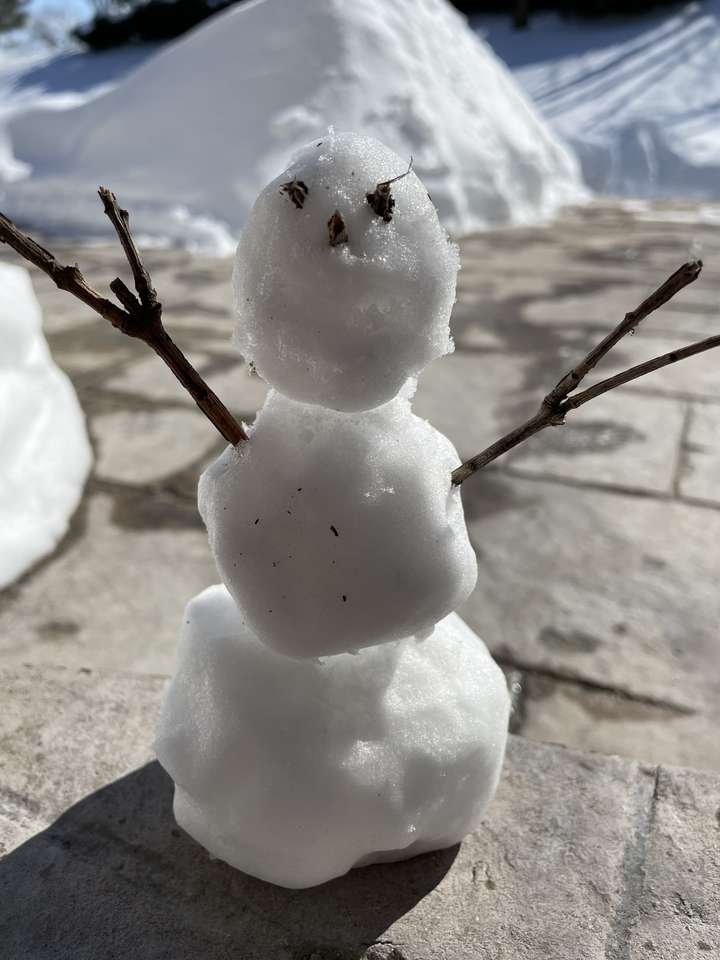 Маленький сніговик онлайн пазл