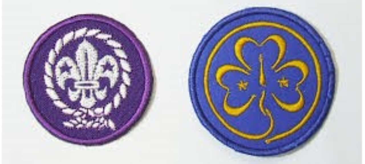 Badges of scouting organizations puzzle online from photo