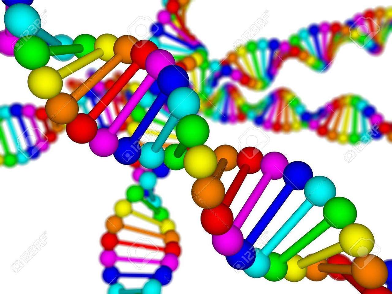 puzzle d'ADN puzzle en ligne à partir d'une photo