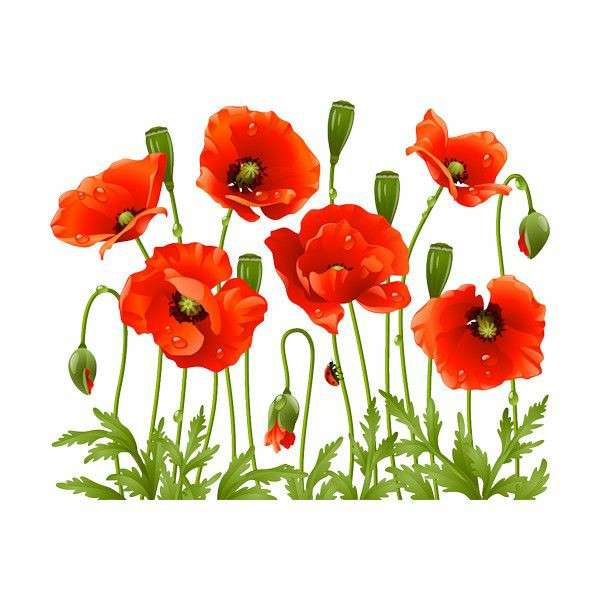 Red poppies puzzle online from photo