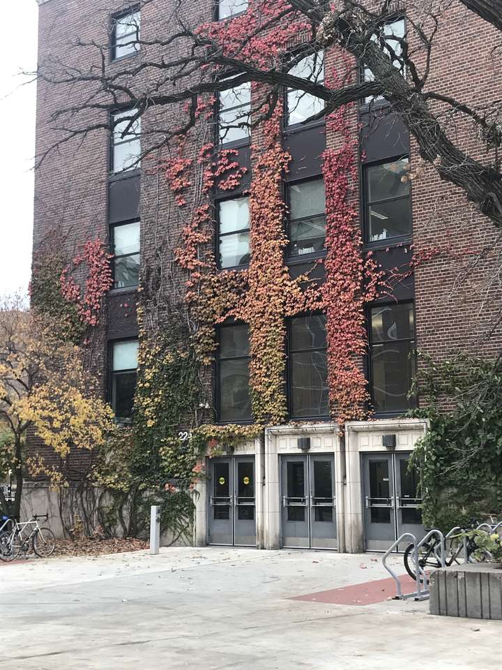 Colores de otoño del campus puzzle online a partir de foto