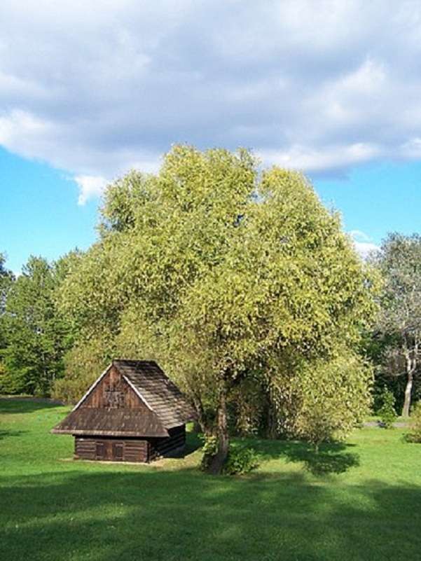 Open-air museum in the Silesian Park puzzle online from photo