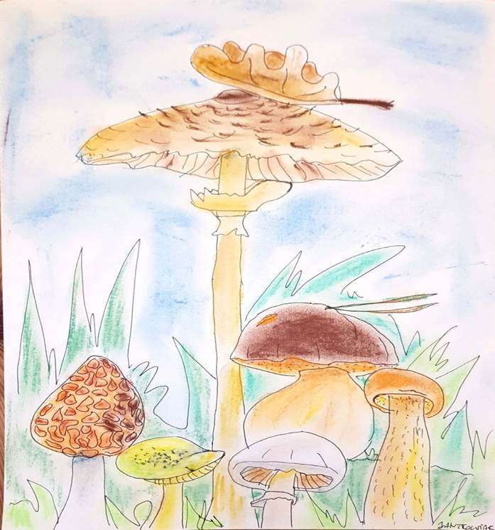 Edible mushrooms puzzle online from photo