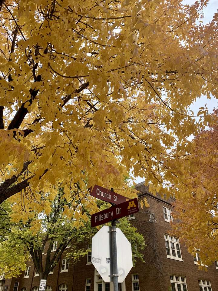Осенние цвета кампуса онлайн-пазл